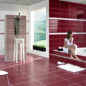 Mosaïque carrelage Ceramicas Aparici Arinsal Rojo