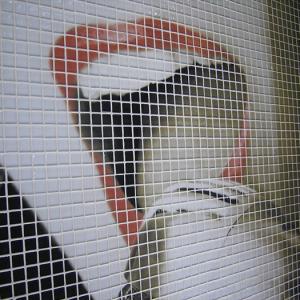 Mosaïque de verre hd decoration04_3