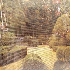 Mosaïque de verre hd exteriors06_3