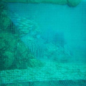 Mosaïque de verre hd pools01_07