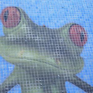Mosaïque de verre hd pools02_6