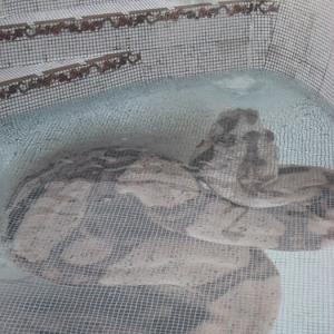 Mosaïque de verre hd pools05_2