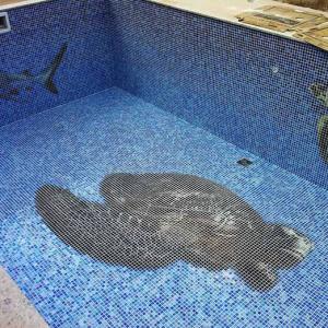 Mosaïque de verre hd pools06_1