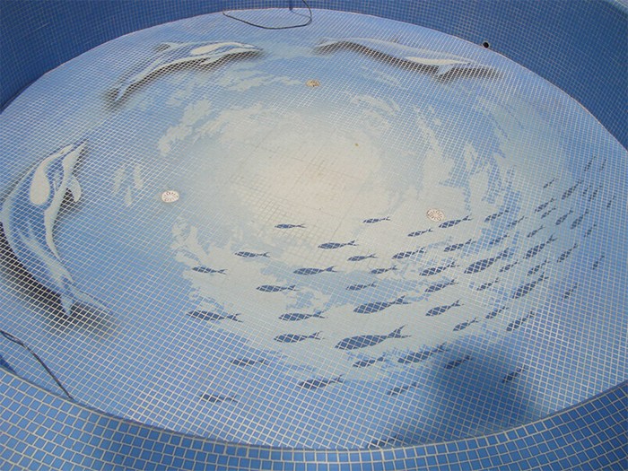pools07_5.jpg