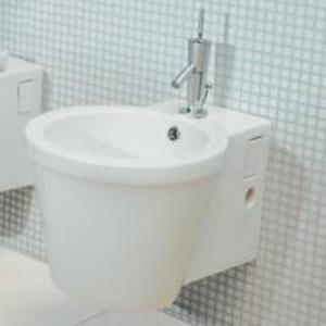 Reflex wall hung bidet