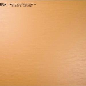 Carrelage de sol et de mur Tau Hebra Beige